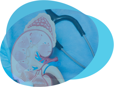 Você sabe o que é NEFROLOGIA?