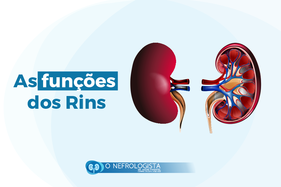 As funções dos Rins